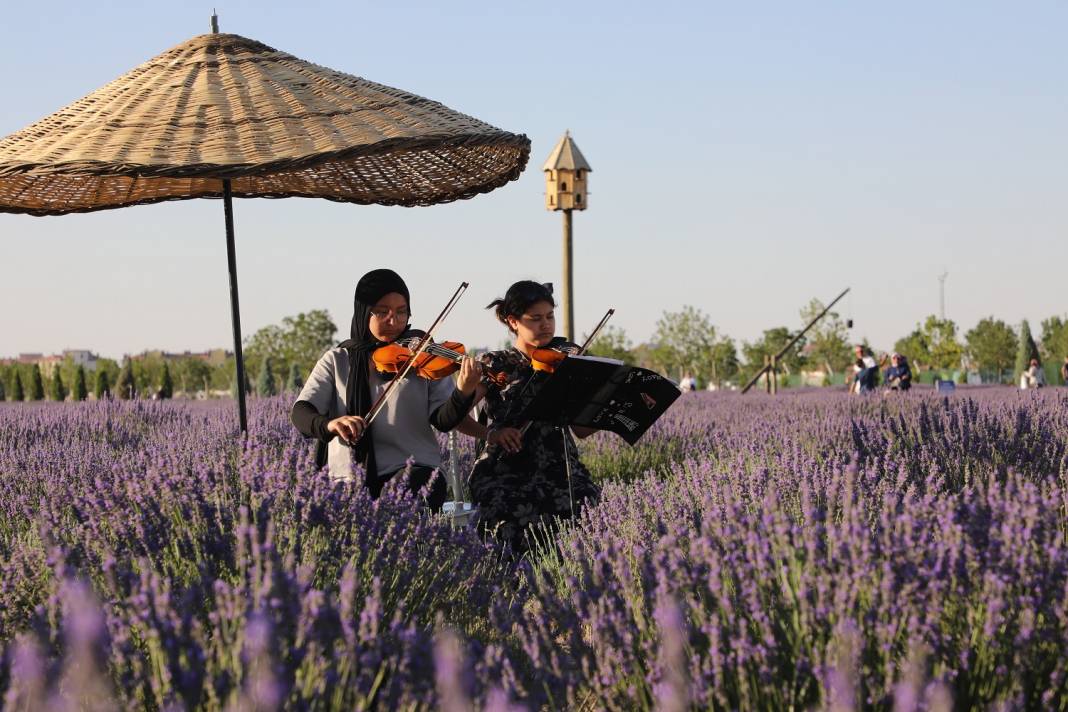 Karatay’ın mor denizi tüm dünyayı peşinden sürükledi! Görmeyen kalmadı 17